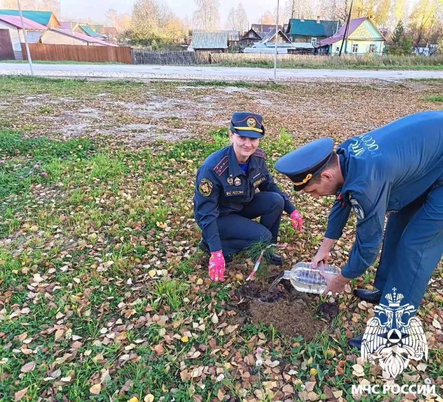 Вклад в будущее. В честь 100-летия органов государственного пожарного надзора сотрудники надзорной деятельности города Сосногорска и 28-й пожарно-спасательной части высадили на Аллее Славы у парка Победы саженцы кедра Вклад в будущее. В честь 100-летия органов государственного пожарного надзора сотрудники надзорной деятельности города Сосногорска и 28-й пожарно-спасательной части высадили на Аллее Славы у парка Победы саженцы кедра