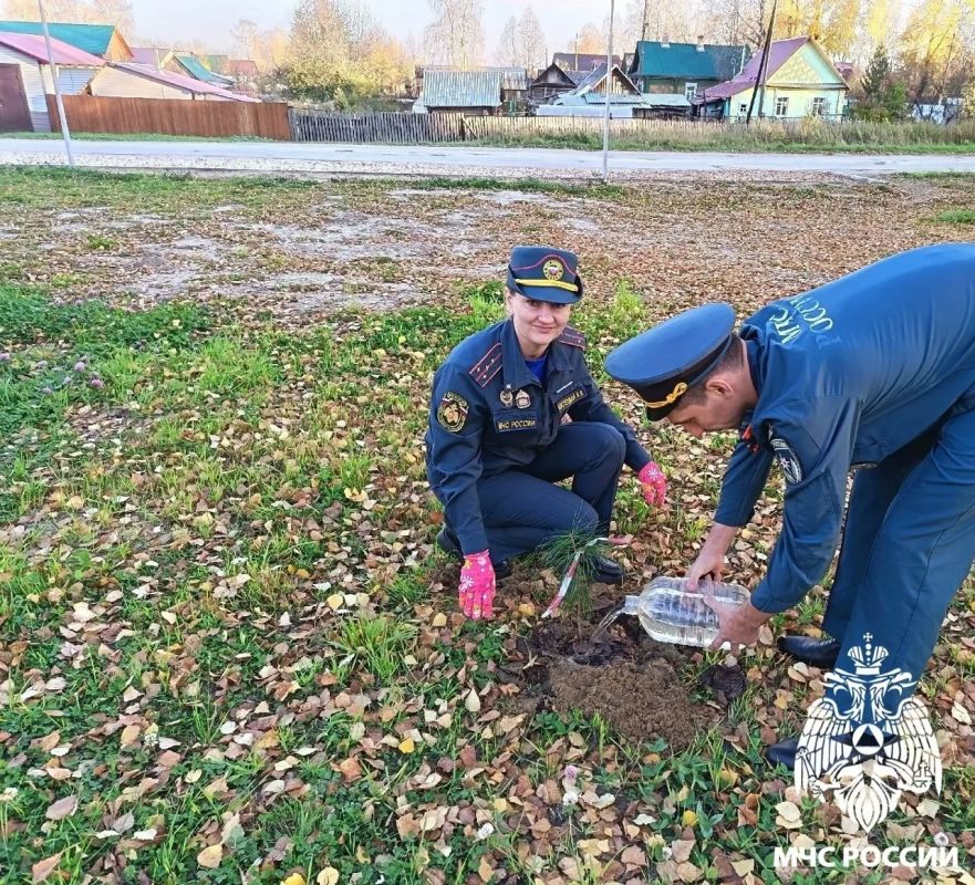 К 100-летию пожарного надзора в Сосногорске высадили кедры К 100-летию пожарного надзора в Сосногорске высадили кедры