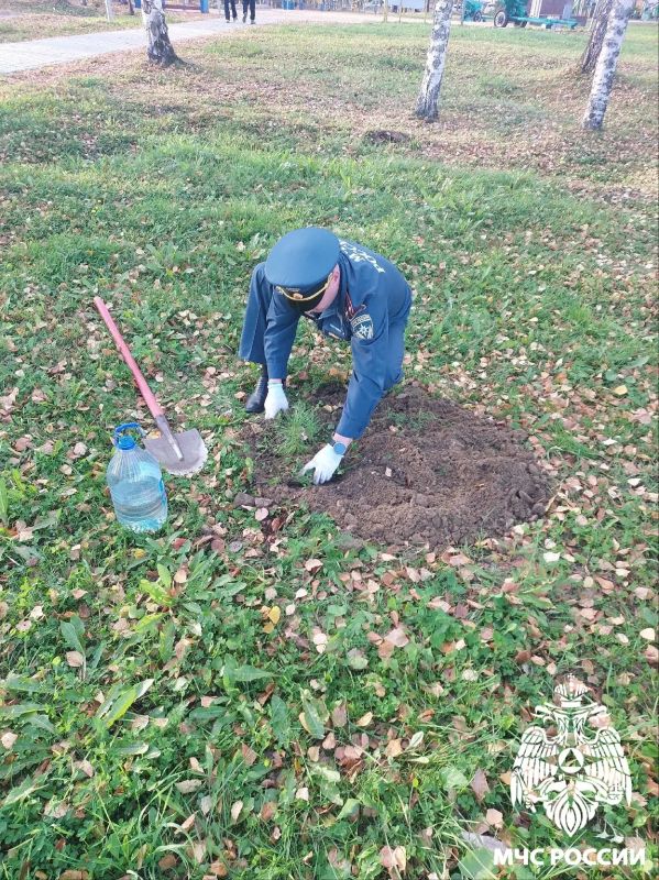 Вклад в будущее. В честь 100-летия органов государственного пожарного надзора сотрудники надзорной деятельности города Сосногорска и 28-й пожарно-спасательной части высадили на Аллее Славы у парка Победы саженцы кедра Вклад в будущее. В честь 100-летия органов государственного пожарного надзора сотрудники надзорной деятельности города Сосногорска и 28-й пожарно-спасательной части высадили на Аллее Славы у парка Победы саженцы кедра