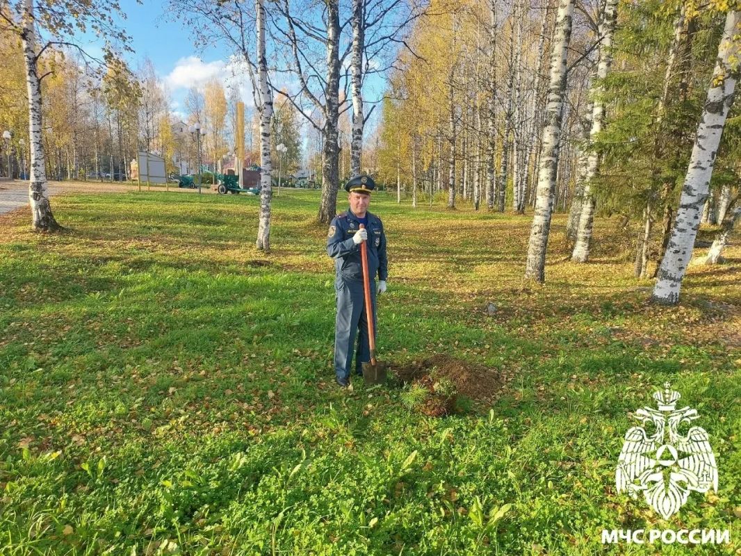 К 100-летию пожарного надзора в Сосногорске высадили кедры К 100-летию пожарного надзора в Сосногорске высадили кедры