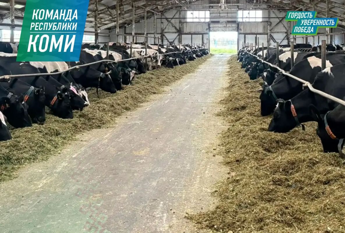 В Прилузском районе увеличат производство молока В Прилузском районе увеличат производство молока