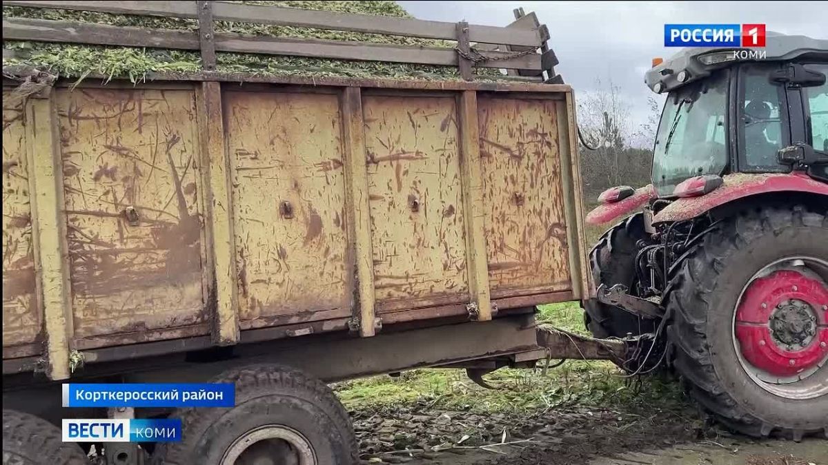 Урожай удался: в селе Пезмог убирают кукурузу