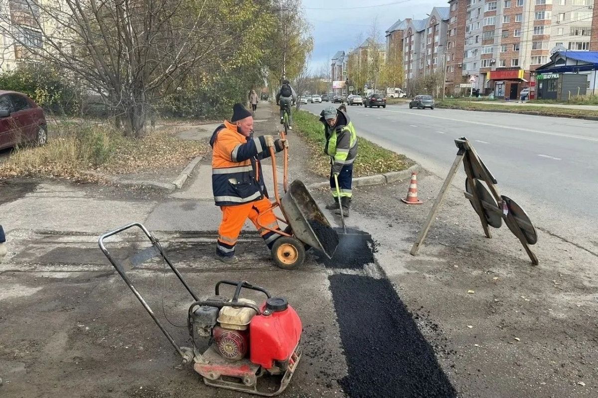 Максим Мартышин: Друзья, осень выдается трудовой, как и всегда в это время года Максим Мартышин: Друзья, осень выдается трудовой, как и всегда в это время года