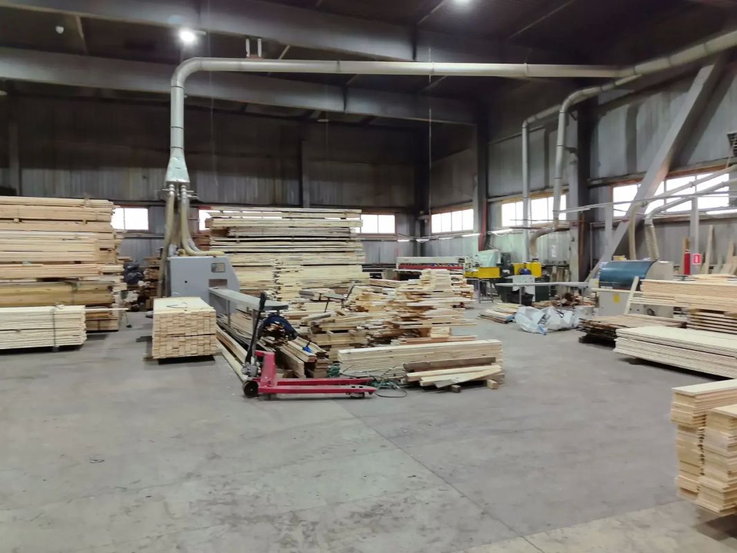В Минэкономразвития оценили потенциал предприятия по деревянному домостроению В Минэкономразвития оценили потенциал предприятия по деревянному домостроению