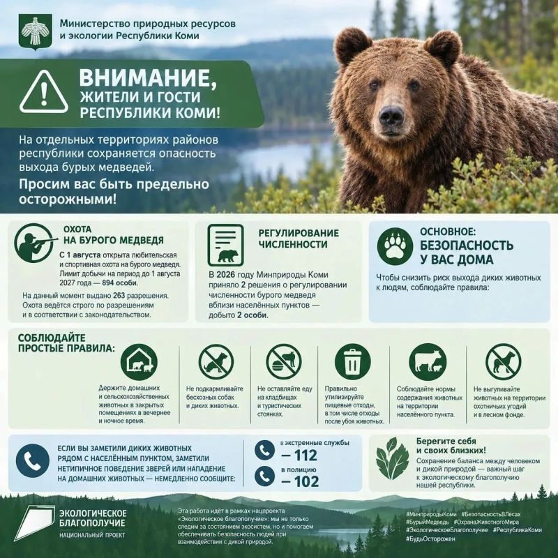 В некоторых районах Коми сохраняется опасность выхода бурых медведей