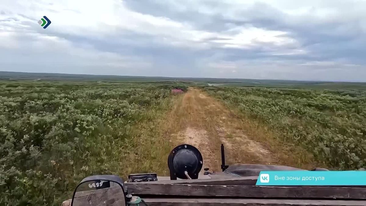 Уроженец Воркуты снял видео о своём путешествии по заполярной тундре