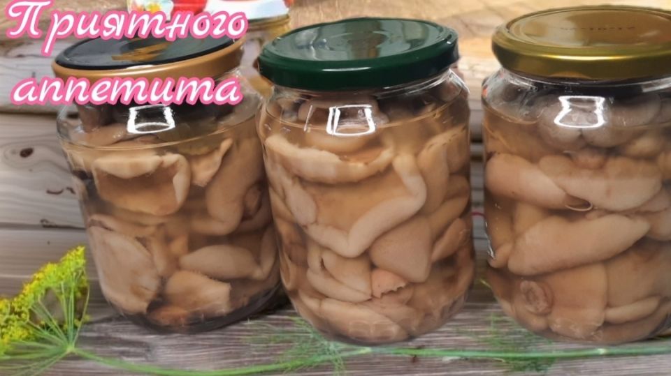 Как правильно замариновать маслята: секреты и рецепты