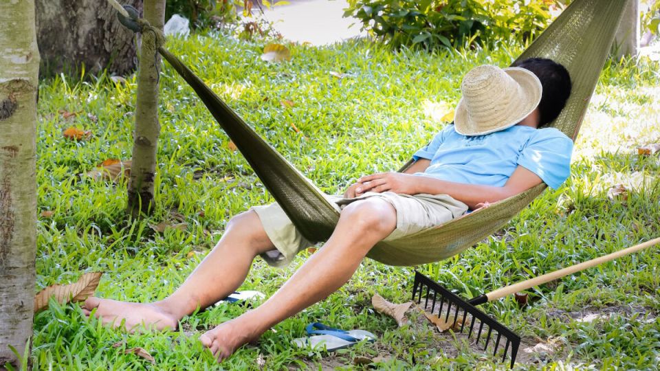 Как подготовить дачу к осени: 10 важных задач, которые нельзя забывать