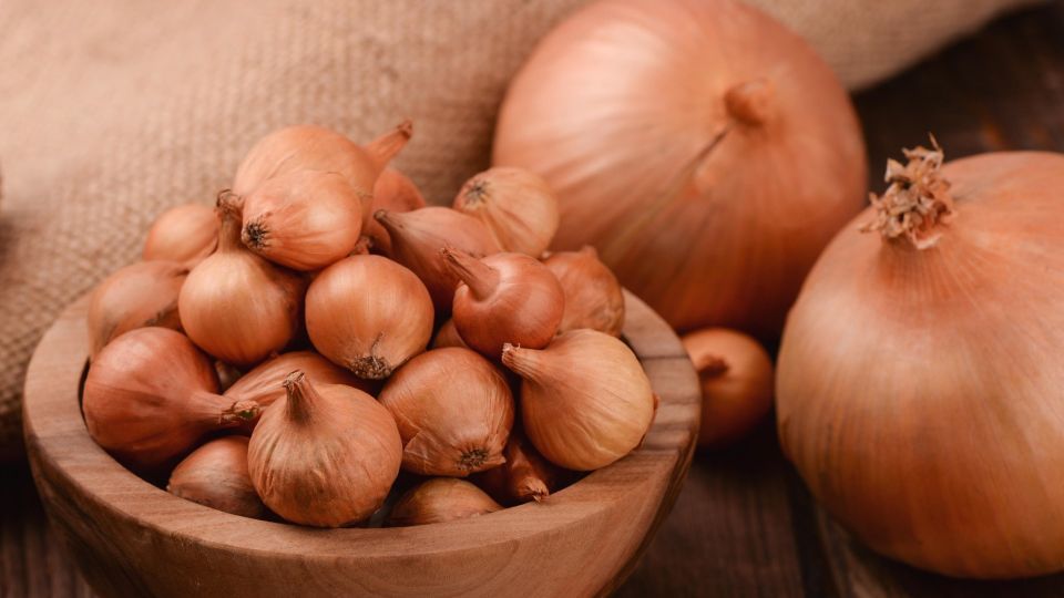 Дуршлаг вам в помощь: как за 10 секунд убрать горечь из лука