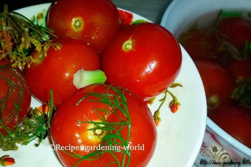 Легкий и быстрый способ приготовления соленых помидоров на зиму