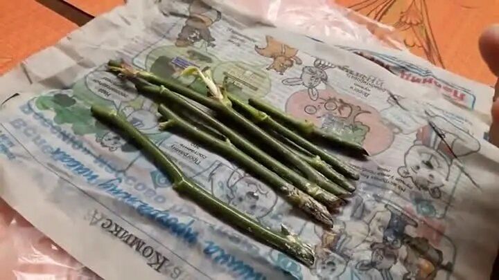 ������� �������� ����������� ���: ��� ��������� ������� ����� � ������� �������� ������