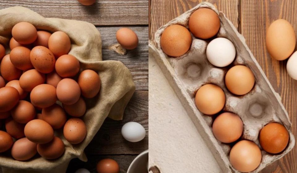 ��� ��������� ������� ������� ����, ����� ��� ���������� ������� ���� ���