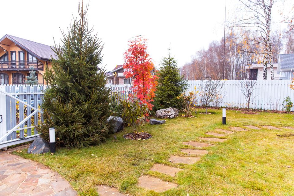 ����������� �������������� � ��������: ��� ����������� ��� �������� ������������