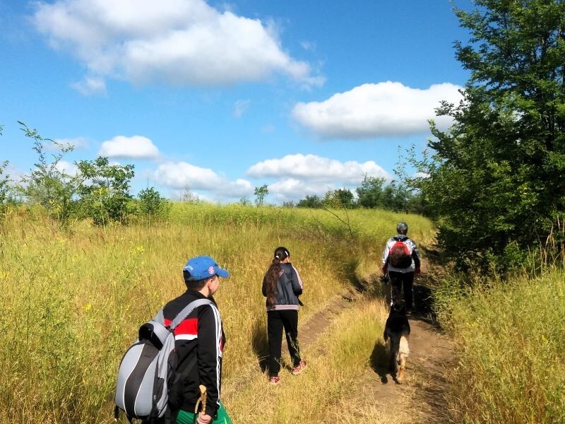 ��� ���� ������ ������������ � ��������� ��������