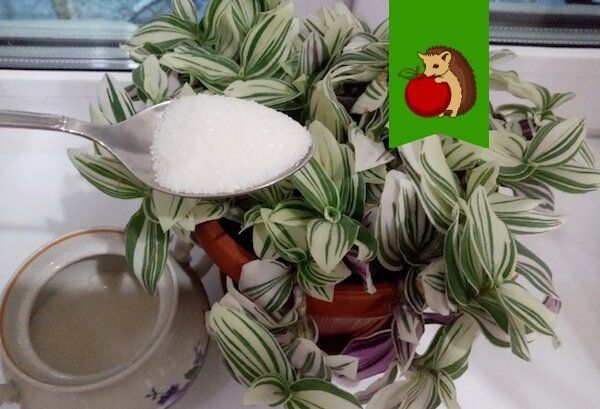 ����� � ����� �� ���������� ����������: ��� � �����?