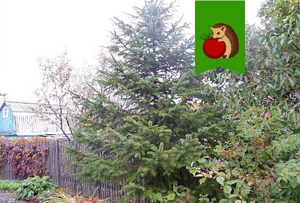 ����� ���� ����� ����������: ��� �������� ������ ���� ������