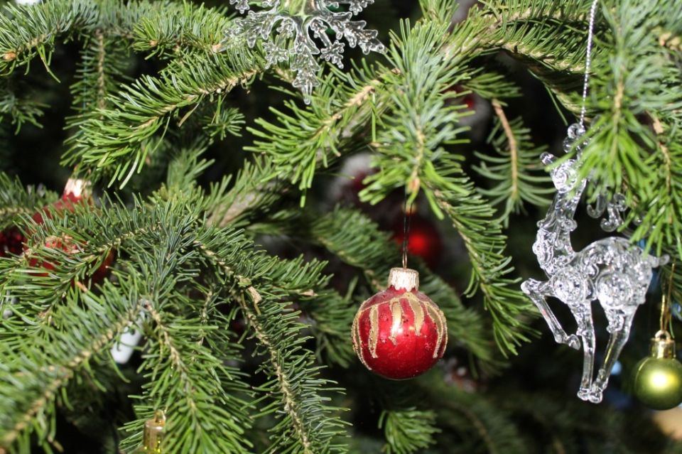 Шесть оригинальных способов, как использовать елку после праздников