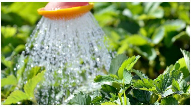 ����������� ����� ��� ����� �������� ����� ��������