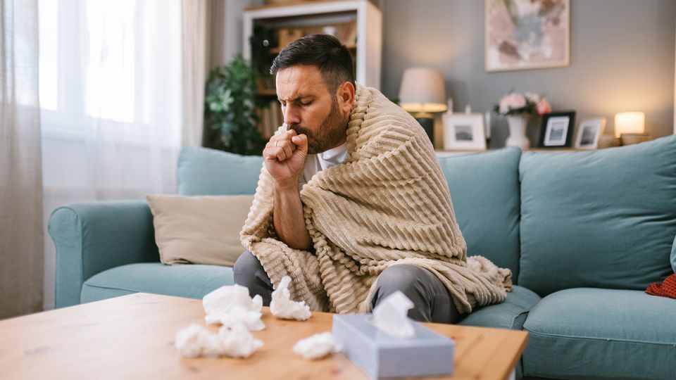 ����������� ����� ��������: ����� �������� ������������ ���������� �������� � 2026 ����