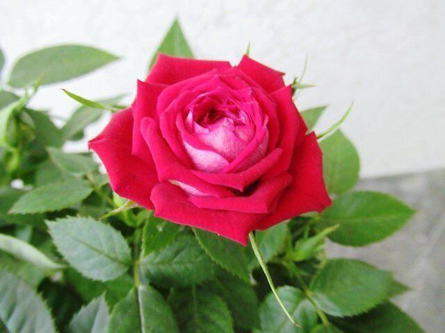 ����������� �������: ��� ��������� ��������� �� ����� �������