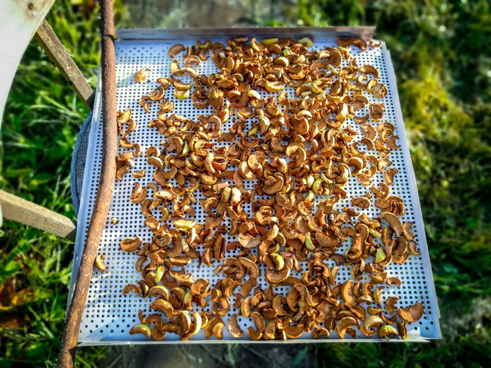 ������ �������: ��� ���������� ������ ������ � ����� �� ������