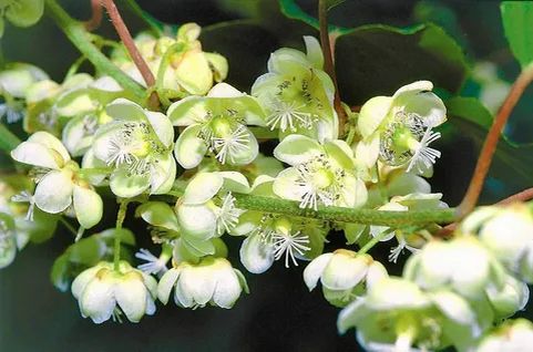 ������������ ����������� ���������: ��� ��������� ���� � ������