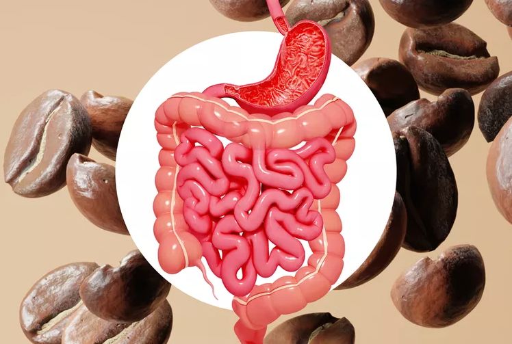Кофе может стать ключом к улучшению кишечного здоровья