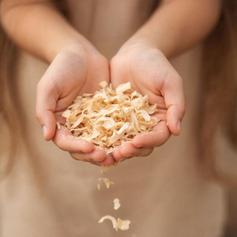 �� ����� � ������: ��� ������ ������ ������� �����