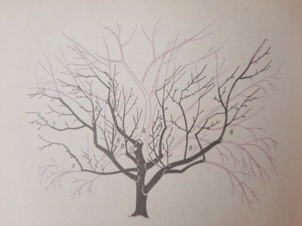 ������ ������ ��� �����: ��� ��������� ������ ��� ������