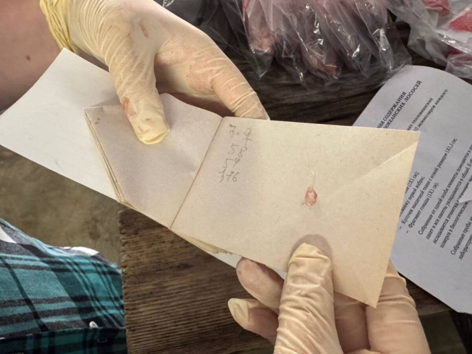 � ������� ������������ ������������ ��������� �����������