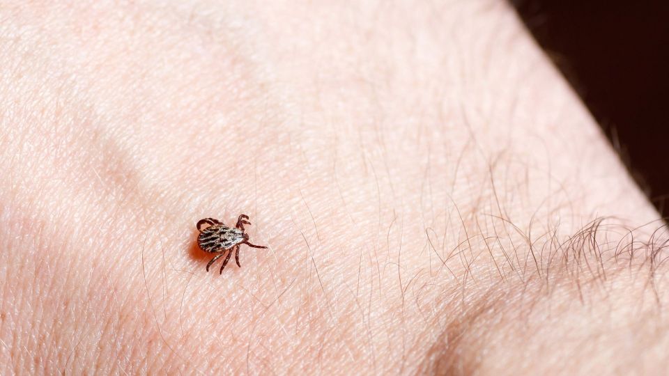 ���������� ��� ����� �� ���� ����� ����� ��������: ����������� ������ ��� ������