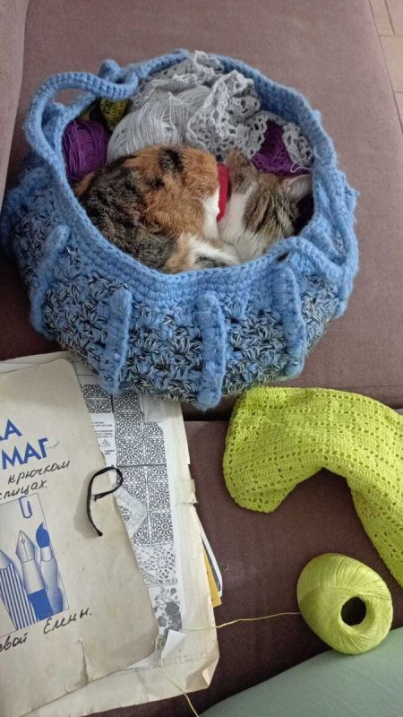 Как уютные зимние вечера с кошкой вдохновляют на творчество