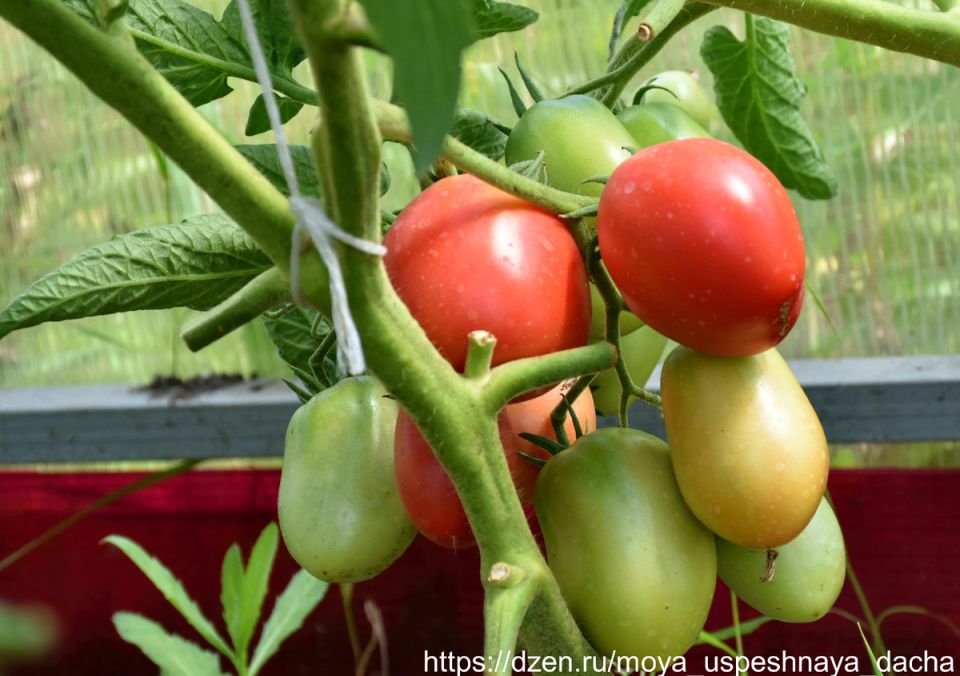 ����� '���������': ������� �� ������� � ����������