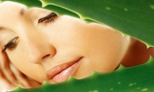 Как легко создать увлажняющие маски для лица своими руками