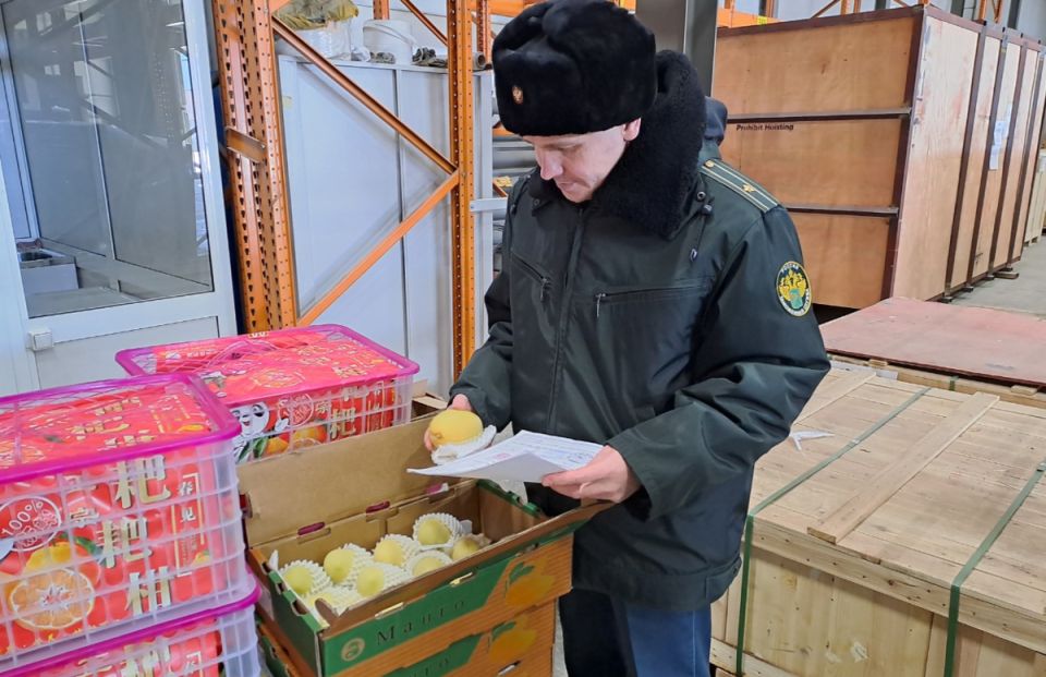 �� ����� ������ �������� ���� � ��������