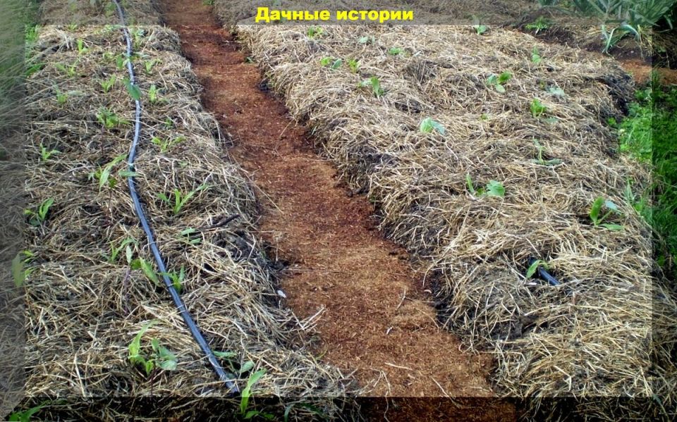 ����������� ������ ������ � ���������, ������� ������� ������� ��������