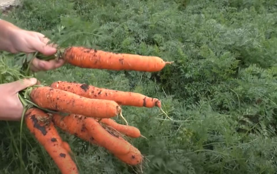 � secrets ������� �������: ������ �� ����� � ��������� � ����