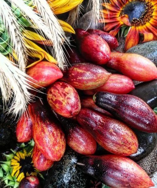 ����� ���� ������� �������: ���������� ���� � ����� ����� ��� ������ ����