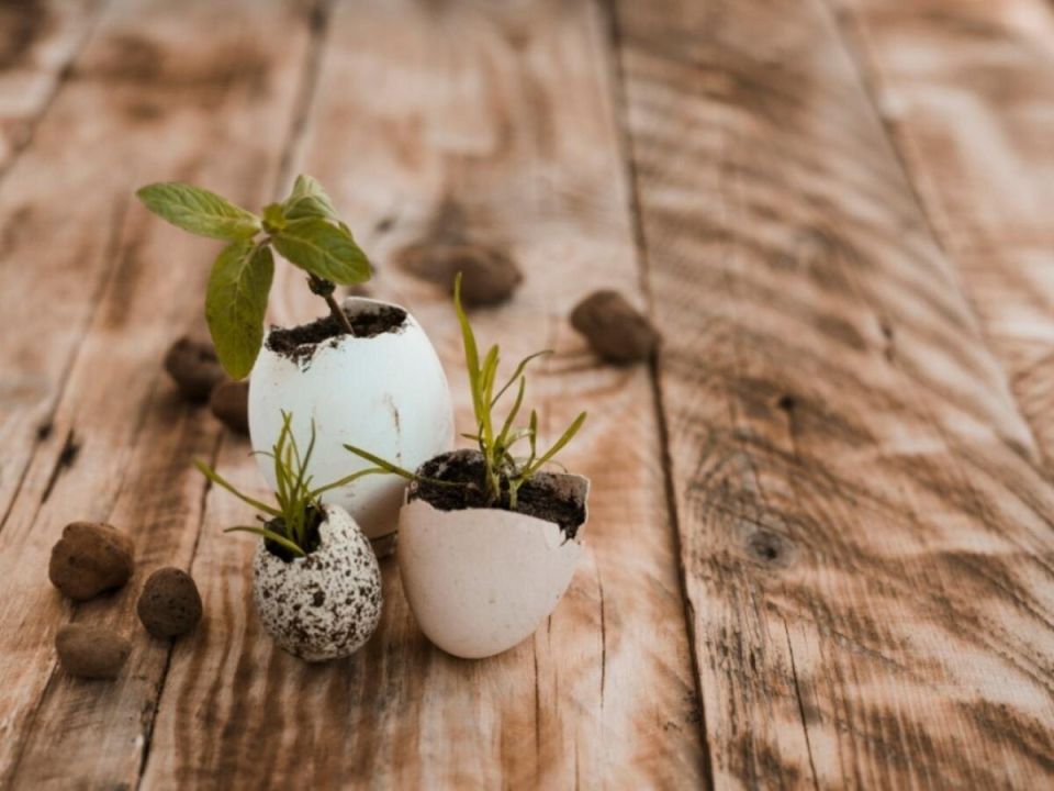 ��� ������� ���������� ������� ������ � ��������� ��������� ��� ������