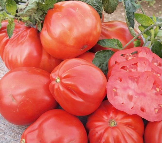 ��� ������� ���������� � �������� ������ �� ����� ������� � �������� ������� ������