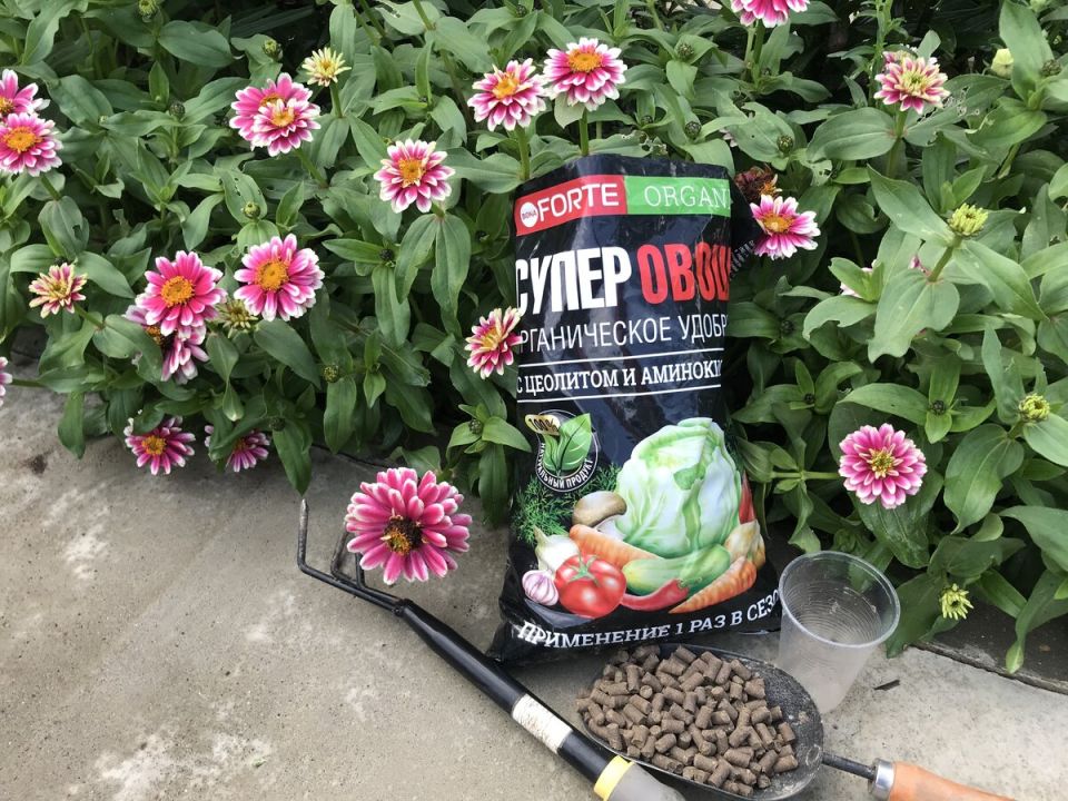 ���������� ������: ��� ������������ ��������� ����������� �����������