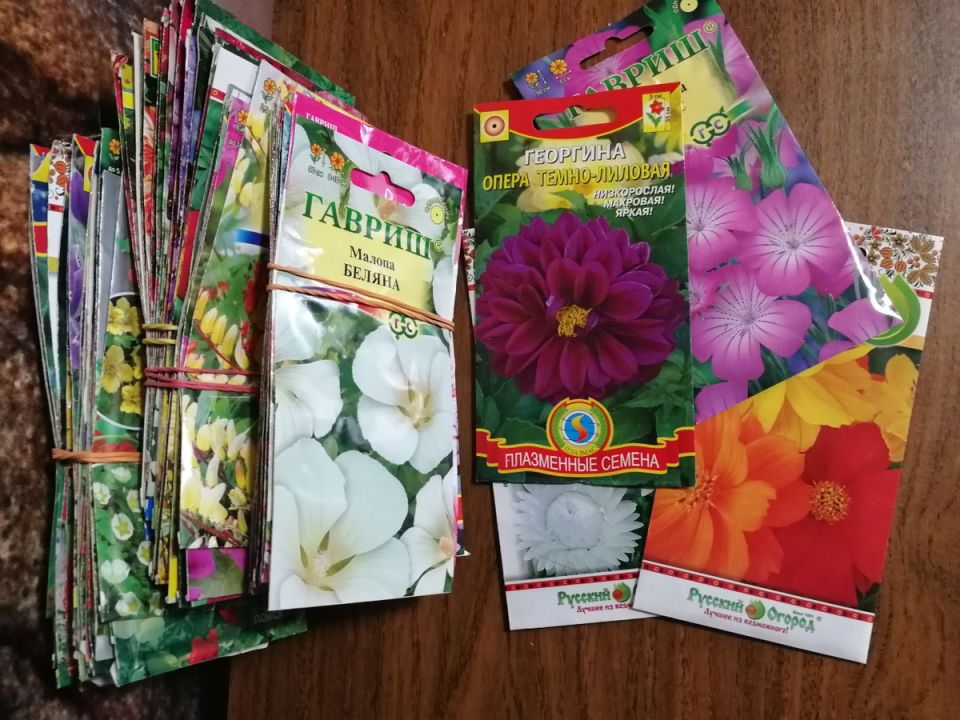 ��� ����������� ������ ������ � ��������� ������: ������ � ���������