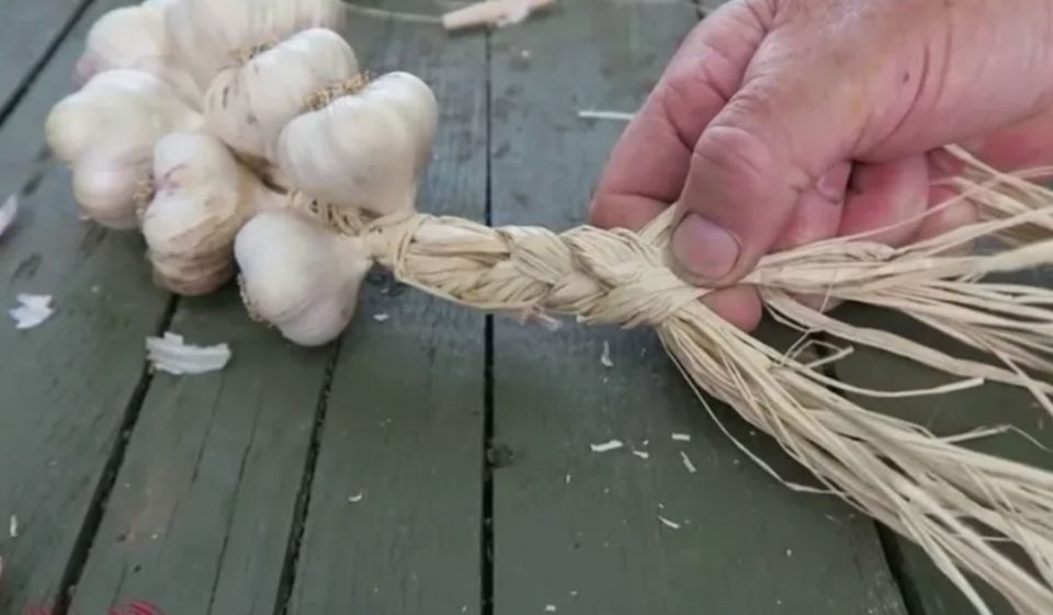 ��� ��������� ��� � ������ �� ���������� ������