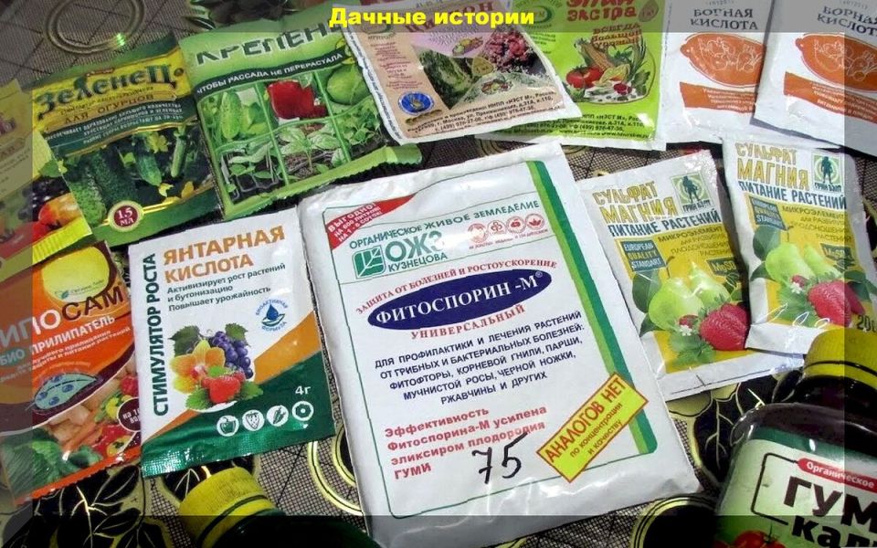 Биопрепараты: все, что нужно знать для успешного огородничества