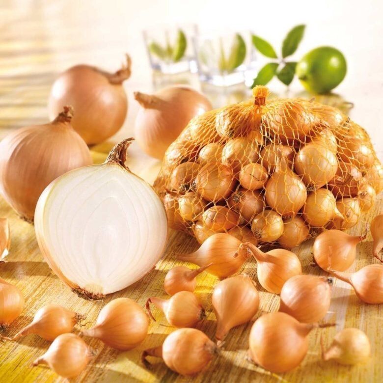 Как правильно выбрать лук севок для посева: секреты успешного урожая