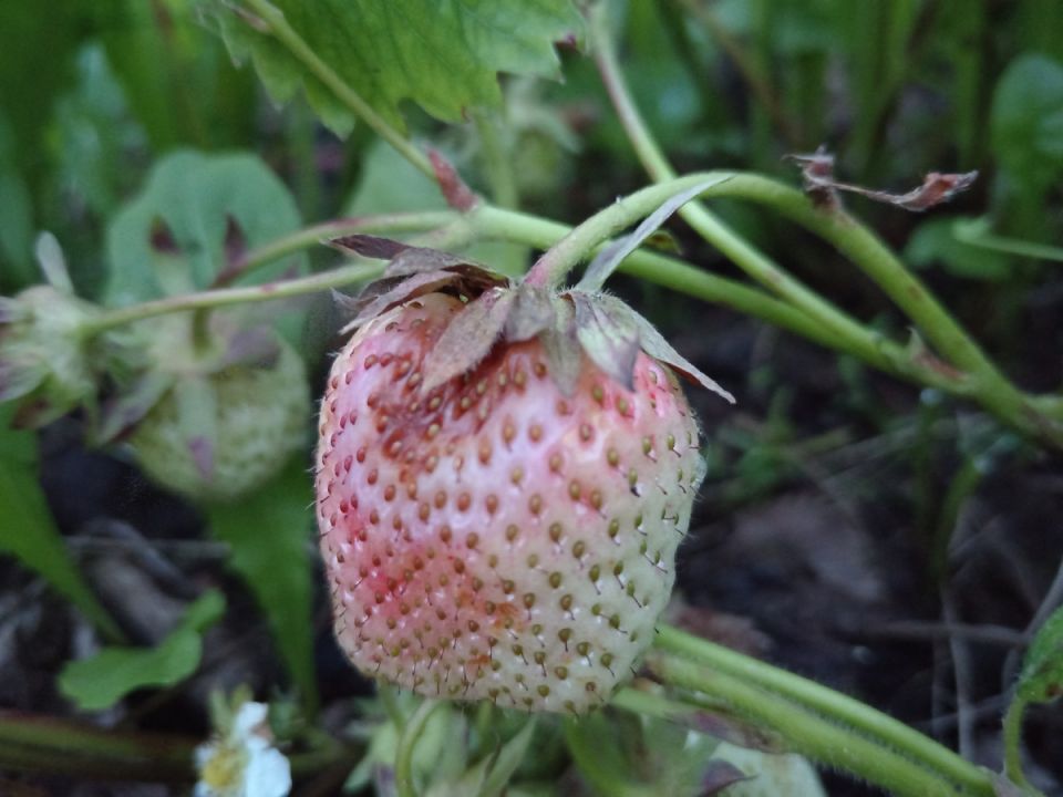 ��� ���������� � �������� �������� �� ������