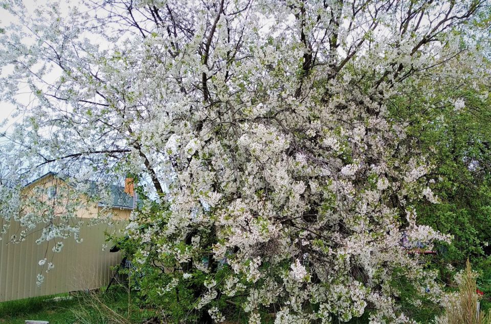 �������� ��������, ������� ���������� ��� ��� � �������� ���