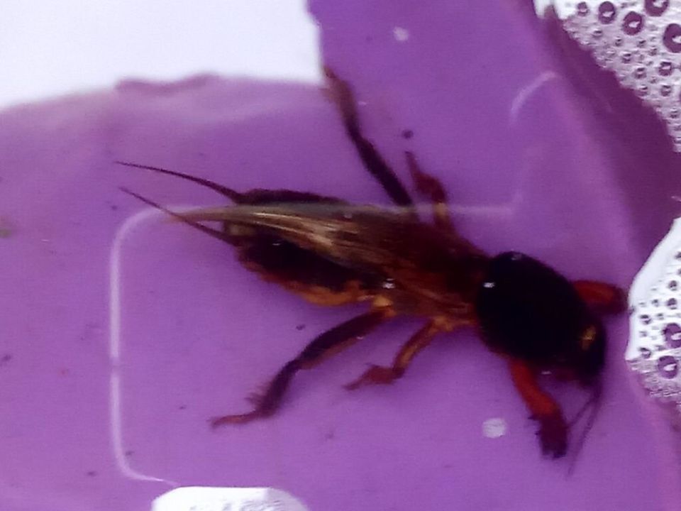 ��� ���������� �������� � ���������: �������� ������ ��� ���������