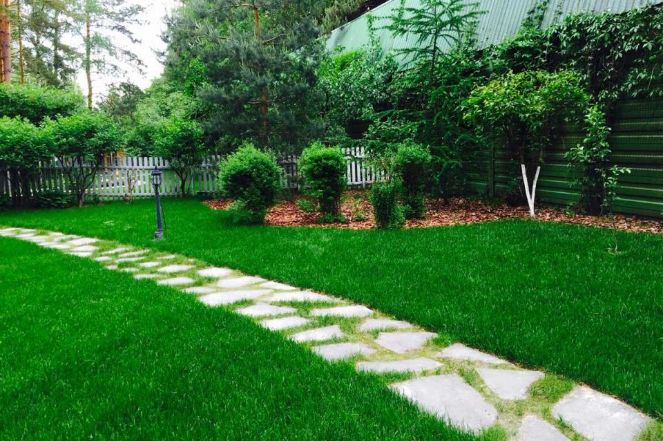 ��� ��������� ��� �������� ��������� ������