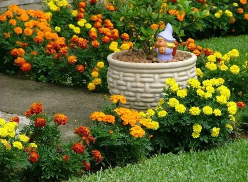 �������� ������: ����� ���������� ����� ������ ������ � ������